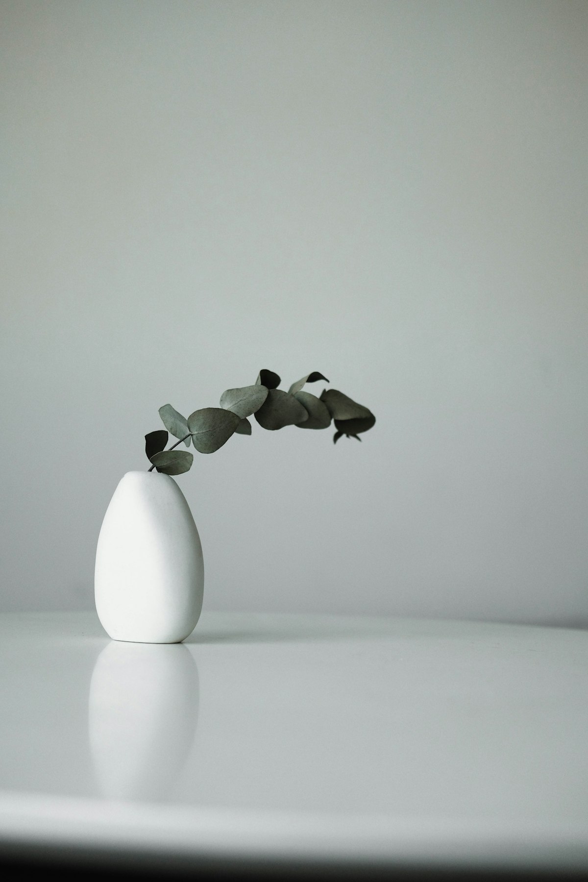 White ceramic vase with green leaves